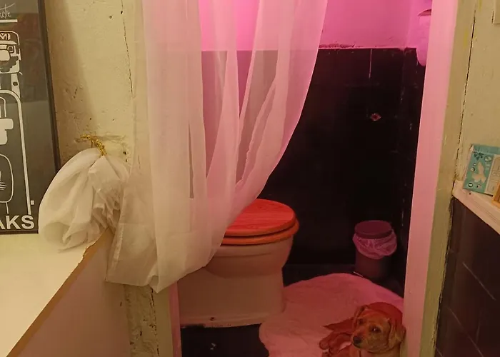 Apartment Atelier In Center, No Shower, Entire Place *